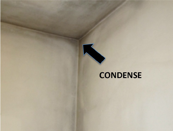 condensa muri