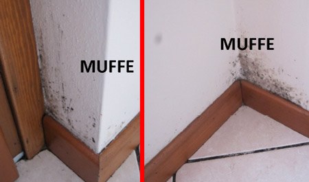 muffe muri
